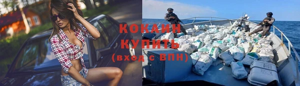 эйфоретик Аркадак