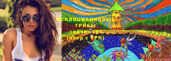 эйфоретик Аркадак