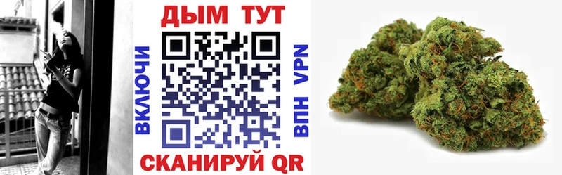 купить закладку  Пролетарск  Бошки марихуана Ganja 
